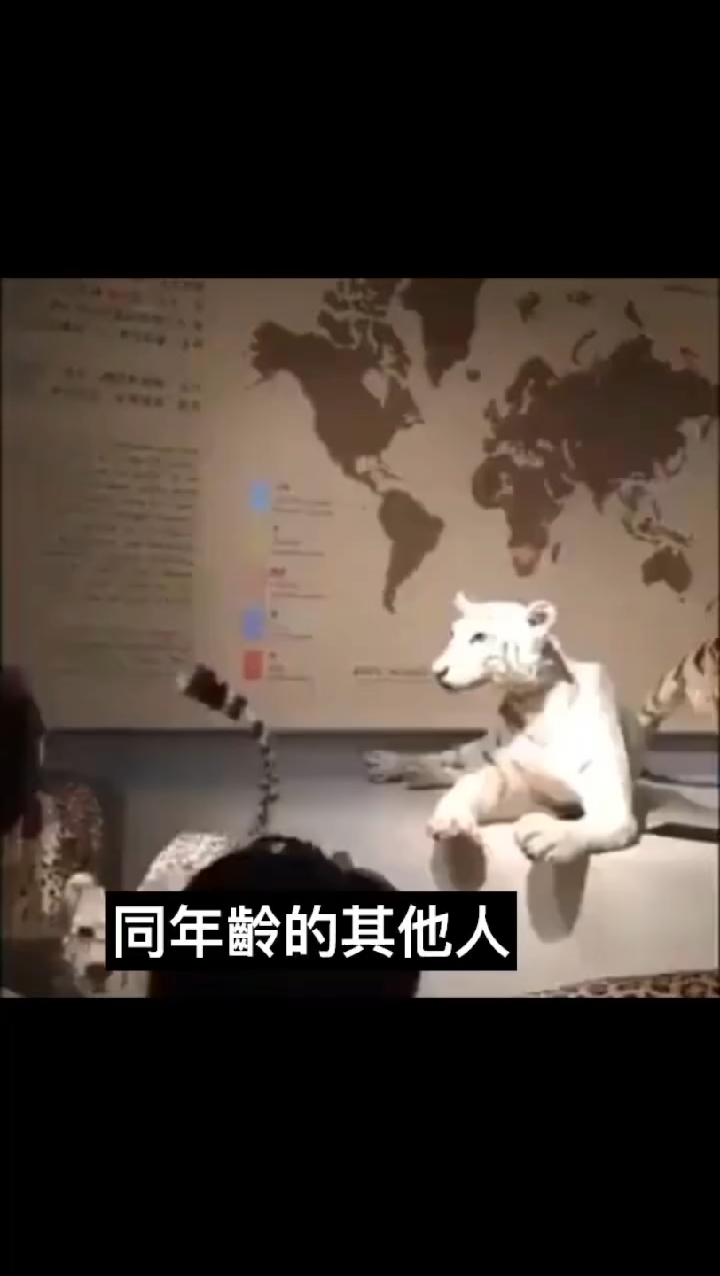 中肯的哔哩哔哩bilibili