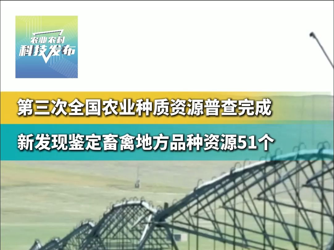 第三次全国农业种质资源普查完成,新发现鉴定畜禽地方品种资源51个哔哩哔哩bilibili