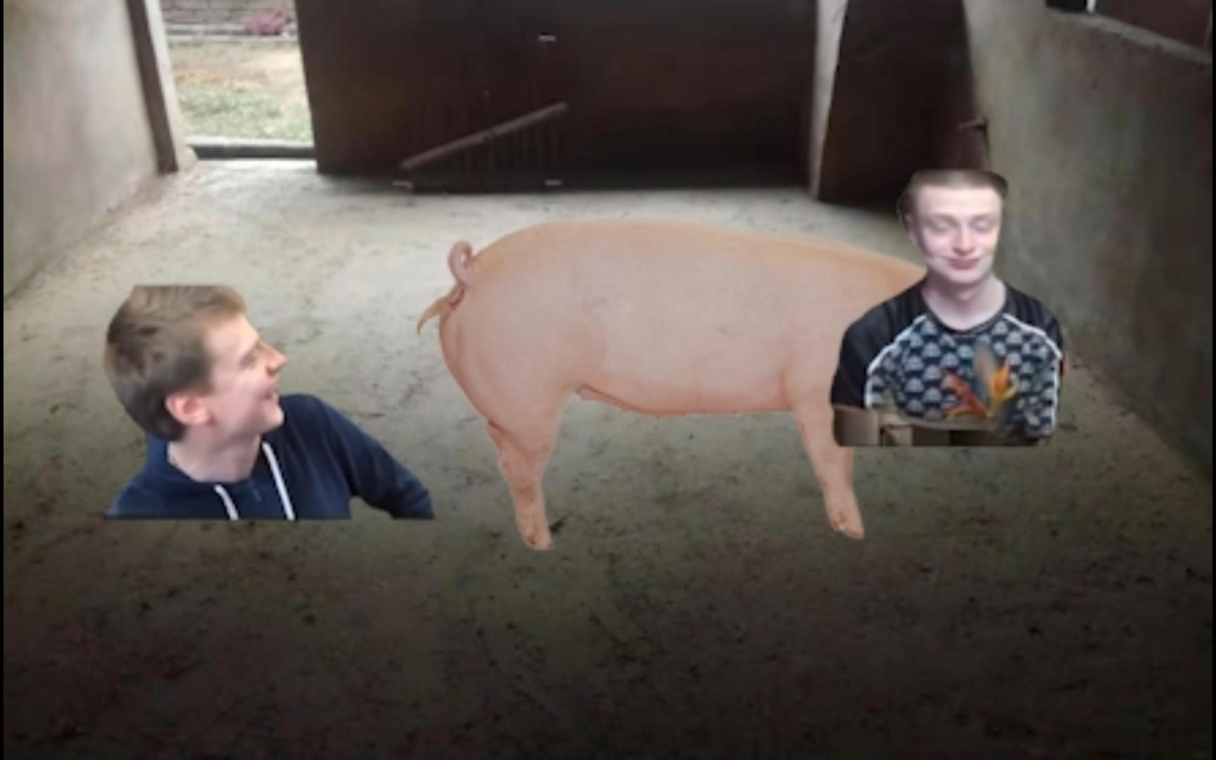 【俄罗斯meme】当bro第一次骑猪