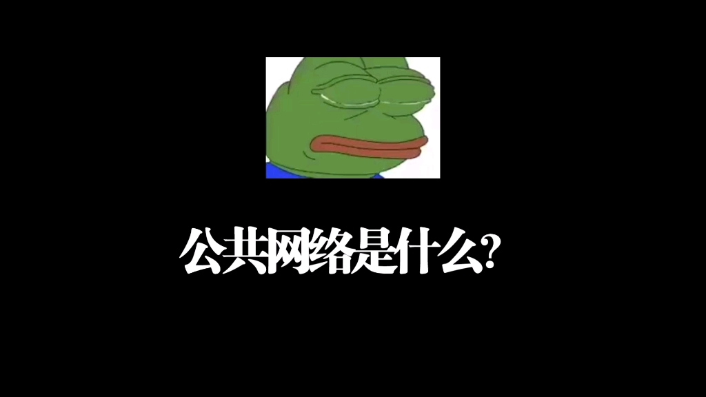 一句话讲明白,公共网络是什么?哔哩哔哩bilibili