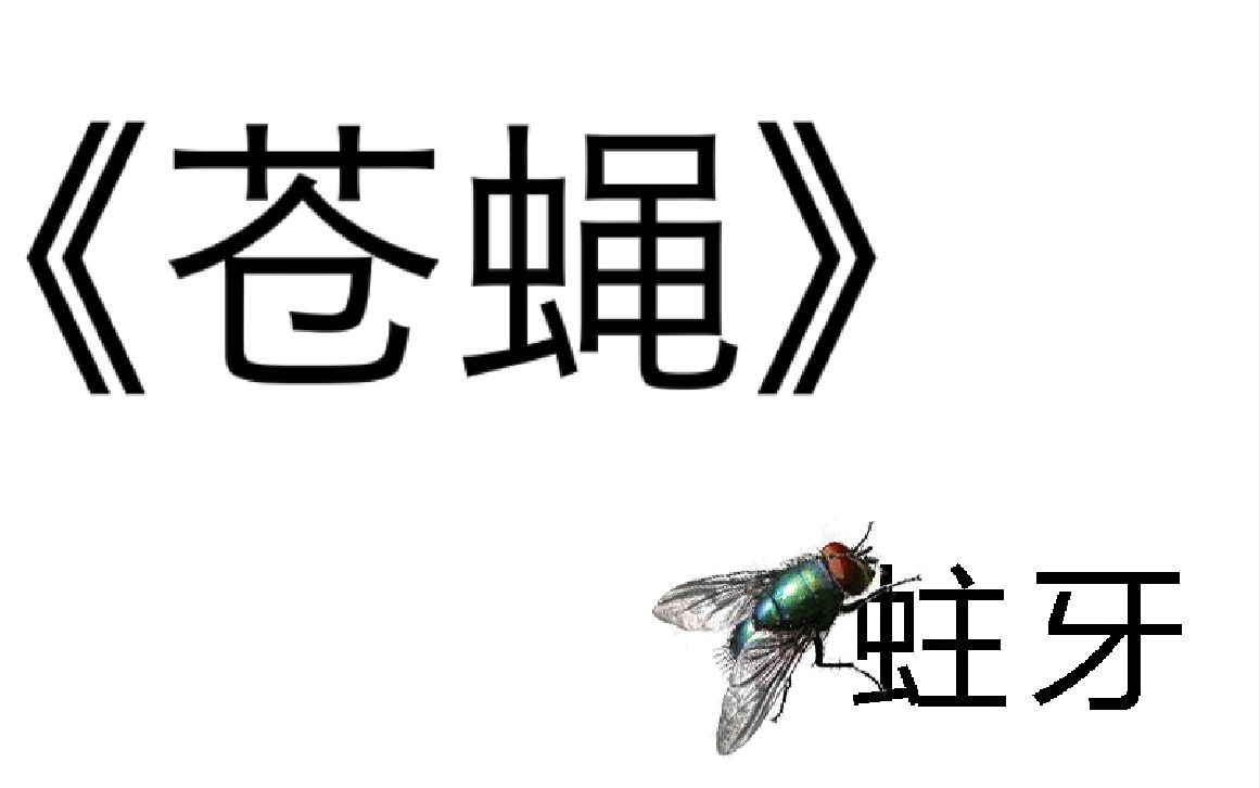 活动作品祖娅纳惜苍蝇