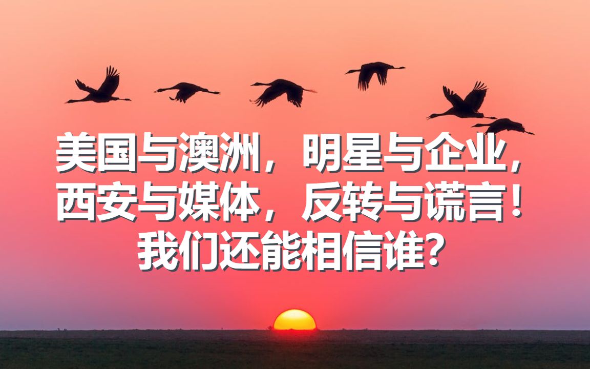 美国与澳洲,明星与企业,西安与媒体,反转与谎言,我还能相信谁?哔哩哔哩bilibili