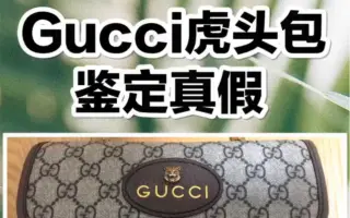 Gucci虎头包搭配 搜索结果 哔哩哔哩 Bilibili