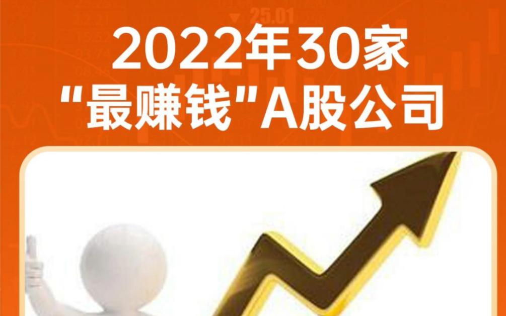 2022年净利润排名前30的A股公司哔哩哔哩bilibili