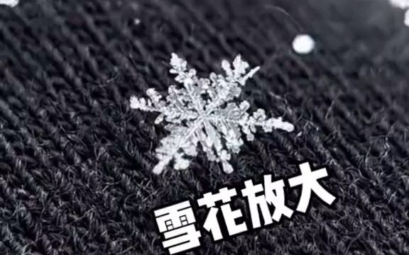 雪为什么叫雪花?用放大镜头观察雪花,真的好精致好漂亮#下雪#雪花#冬季哔哩哔哩bilibili