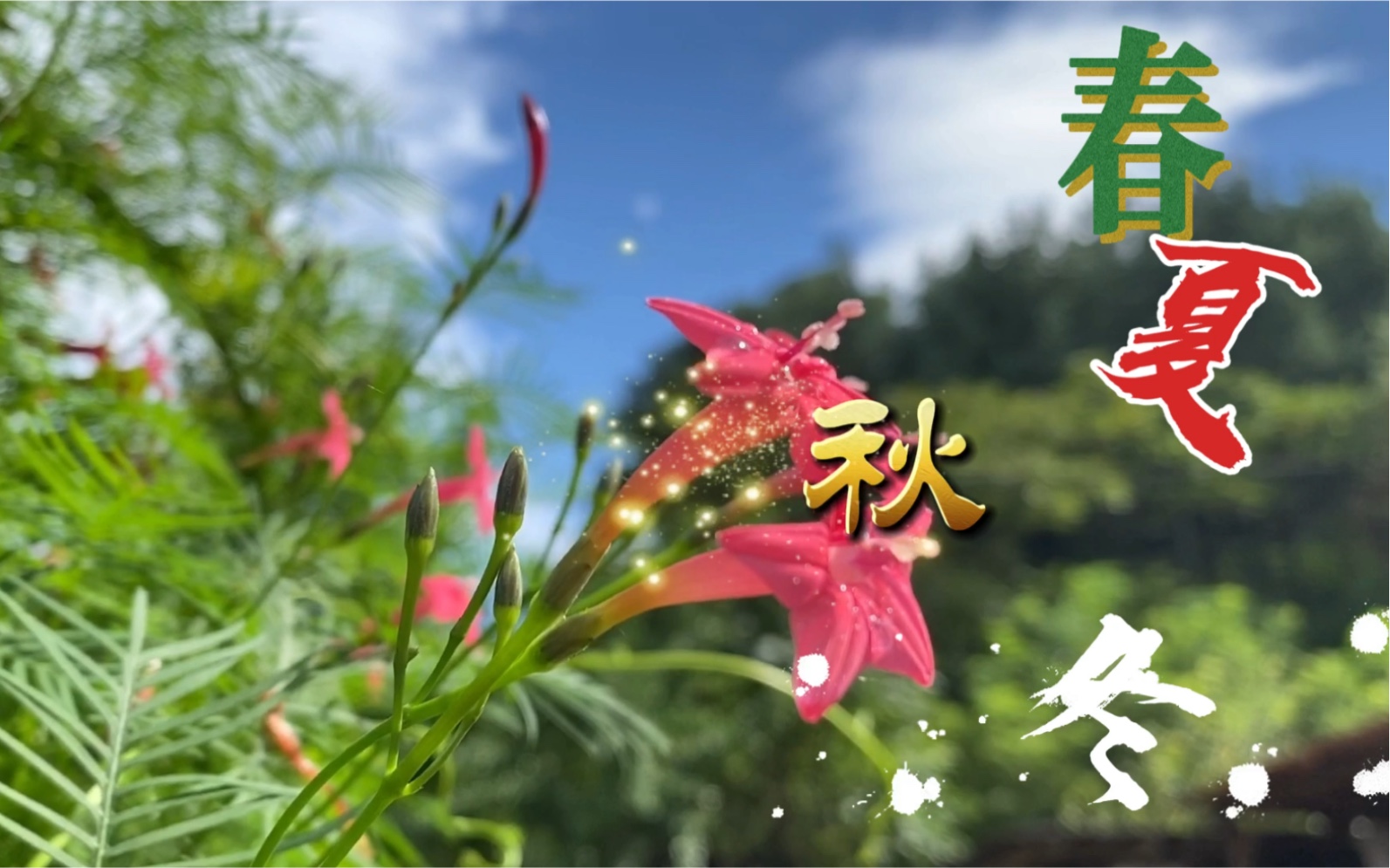 一个人的乡野山居四季从春到夏从秋到冬每一季都是美艳绝伦