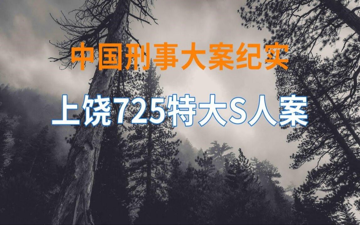 江西上饶特大灭M案  中国刑事大案纪实  刑事案件要案记录哔哩哔哩bilibili