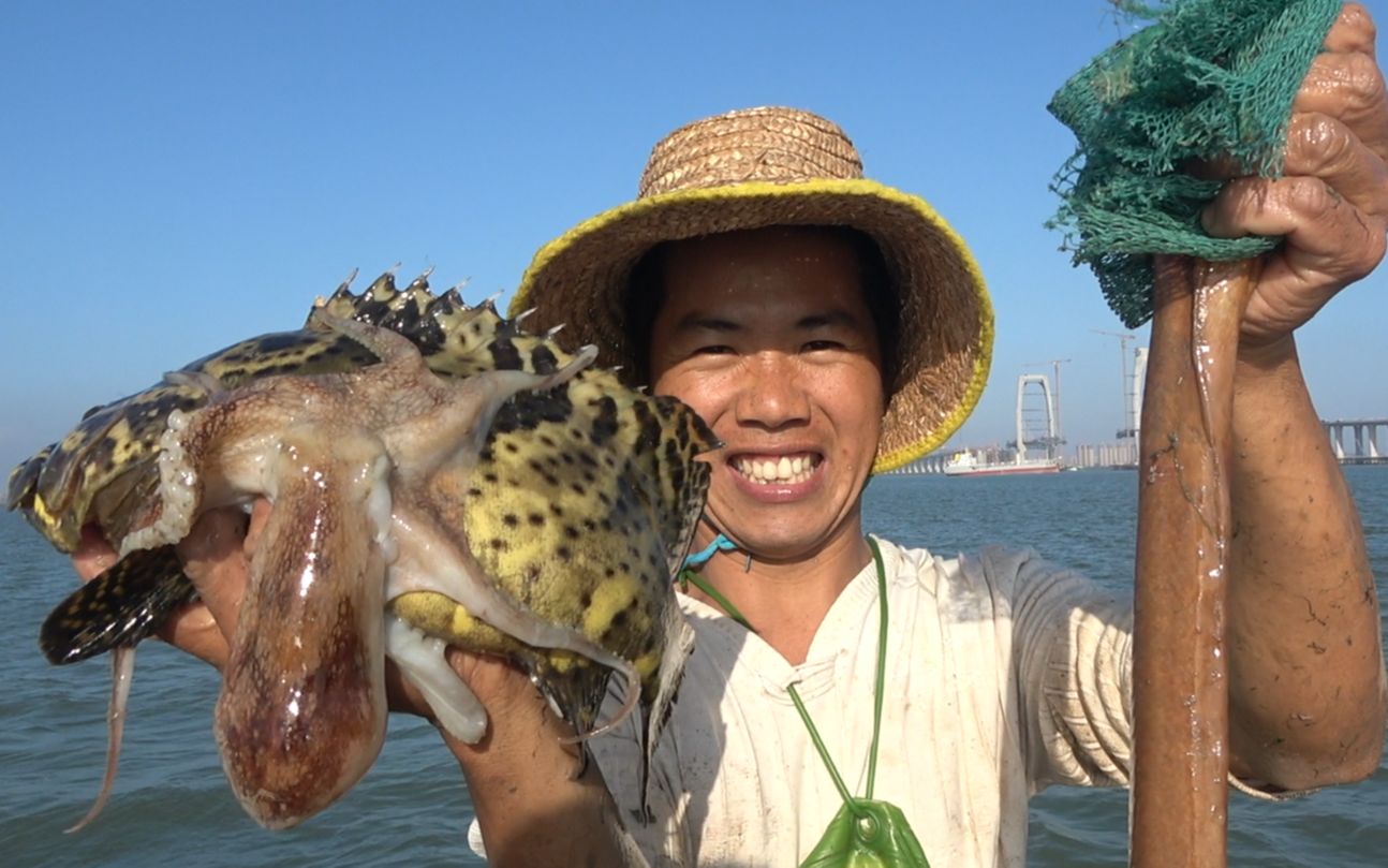 小池赶海抓到2斤重大石斑,土龙和鳗龙双喜临门,运气要爆棚了哔哩哔哩bilibili