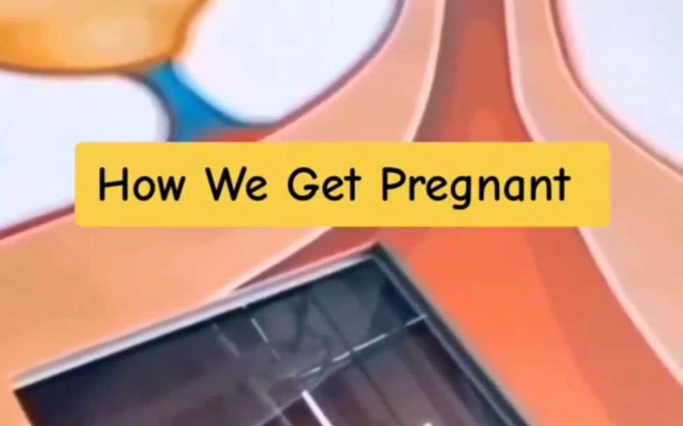 听说看了这个视频的女生会怀孕,你是如何怀孕的呢?#怀孕 #生孩子的那些事儿 #医学科普哔哩哔哩bilibili