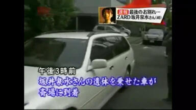 ZARD Vintage_哔哩哔哩_bilibili