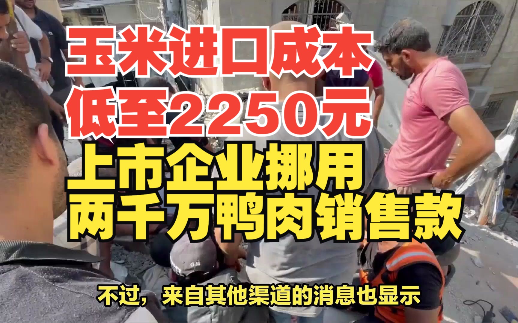 进口玉米成本低至2200元,生猪养殖期盼成本下降;上市公司挪用鸭款,肉鸭市场出现高达两千万元欠款哔哩哔哩bilibili