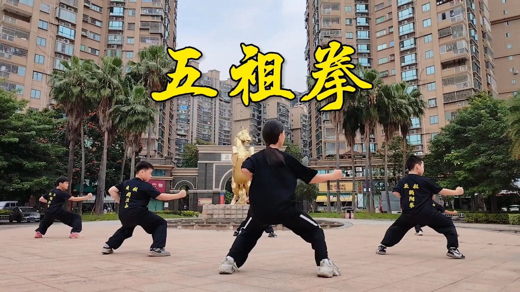 五祖拳少年