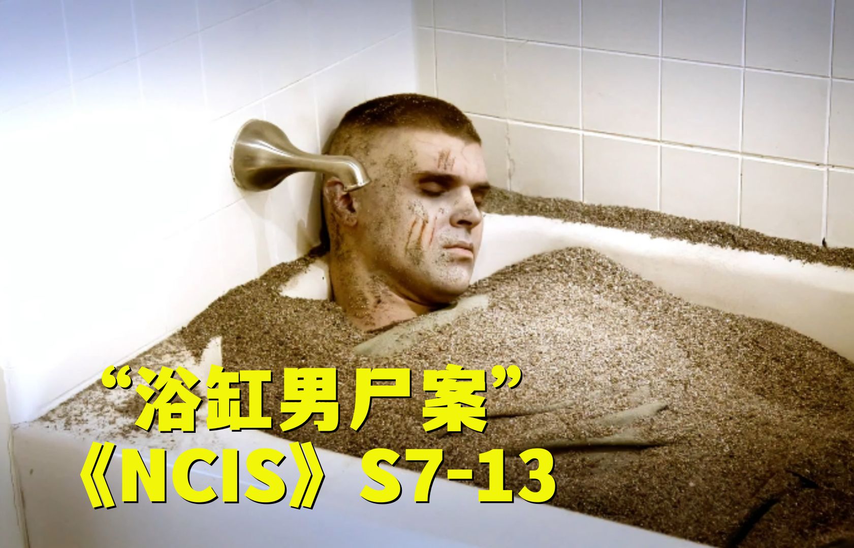 男人被残忍杀死弃尸浴缸,尸体上堆满猫砂太过诡异!《NCIS》第七季第13集哔哩哔哩bilibili