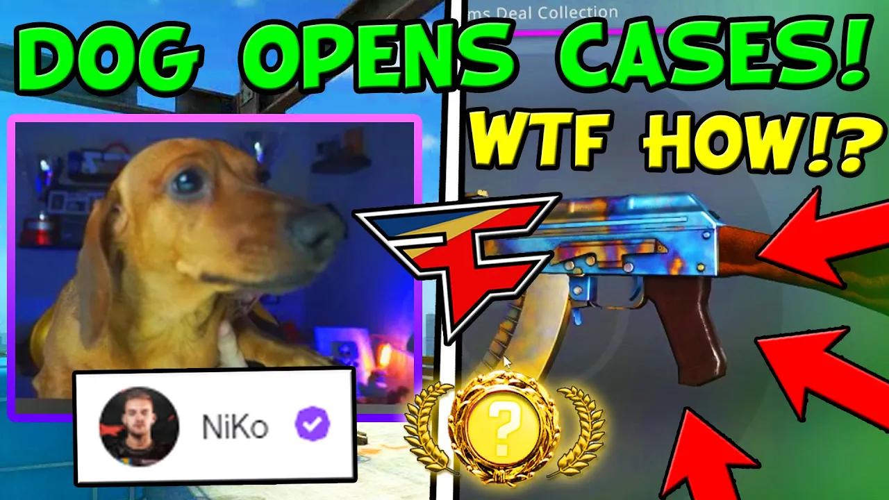 【csgo】当狗狗开箱子时! 最幸运的开箱!