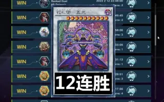 游戏王花札卫 哔哩哔哩 Bilibili