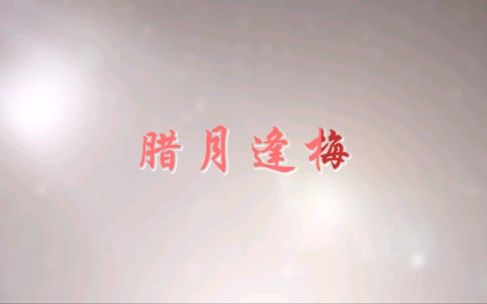 腊月逢梅哔哩哔哩bilibili