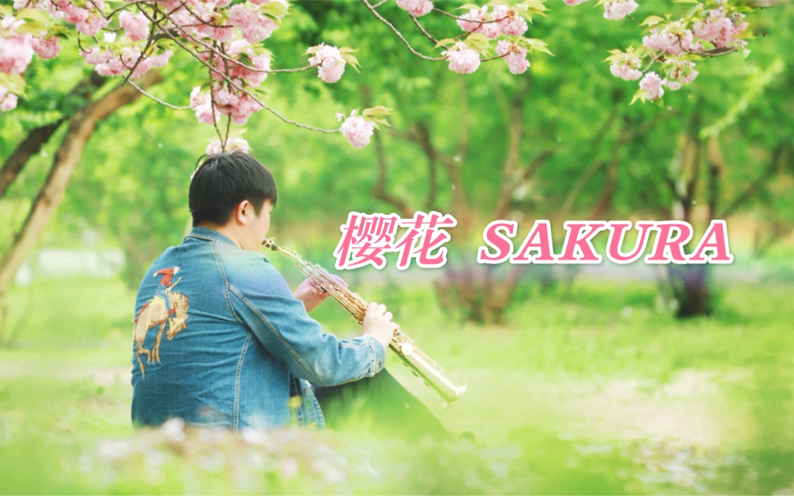 萨克斯樱花《SAKURA》哔哩哔哩bilibili