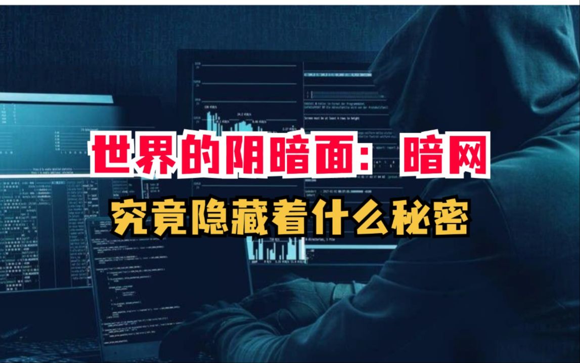 互联网神秘的一面:暗网,究竟隐藏着什么秘密!!(网络安全\信息安全)哔哩哔哩bilibili