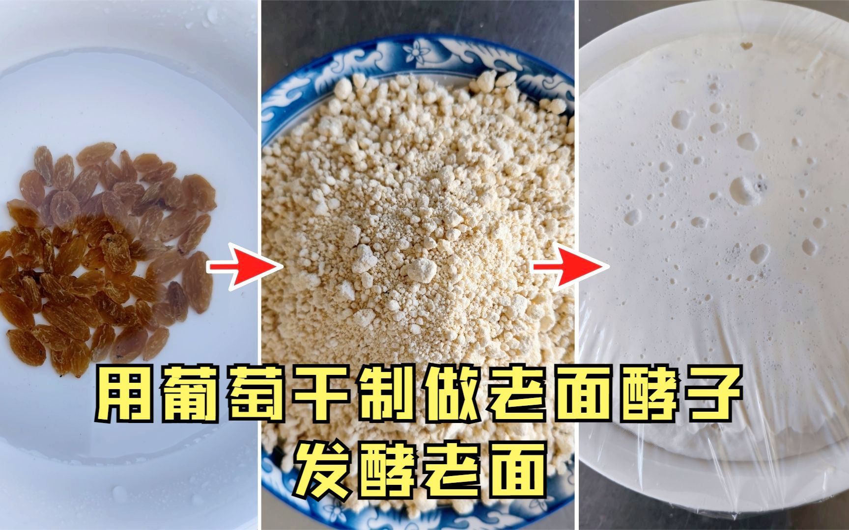 自制酵母不用任何发酵助剂做老面引子,老面酵子的制作方法
