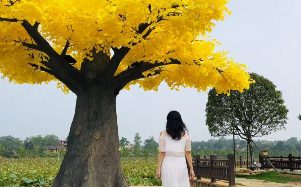 《跟着感觉走》段晶抛掉工作中,生活中所有的烦恼,感受着阳光正好