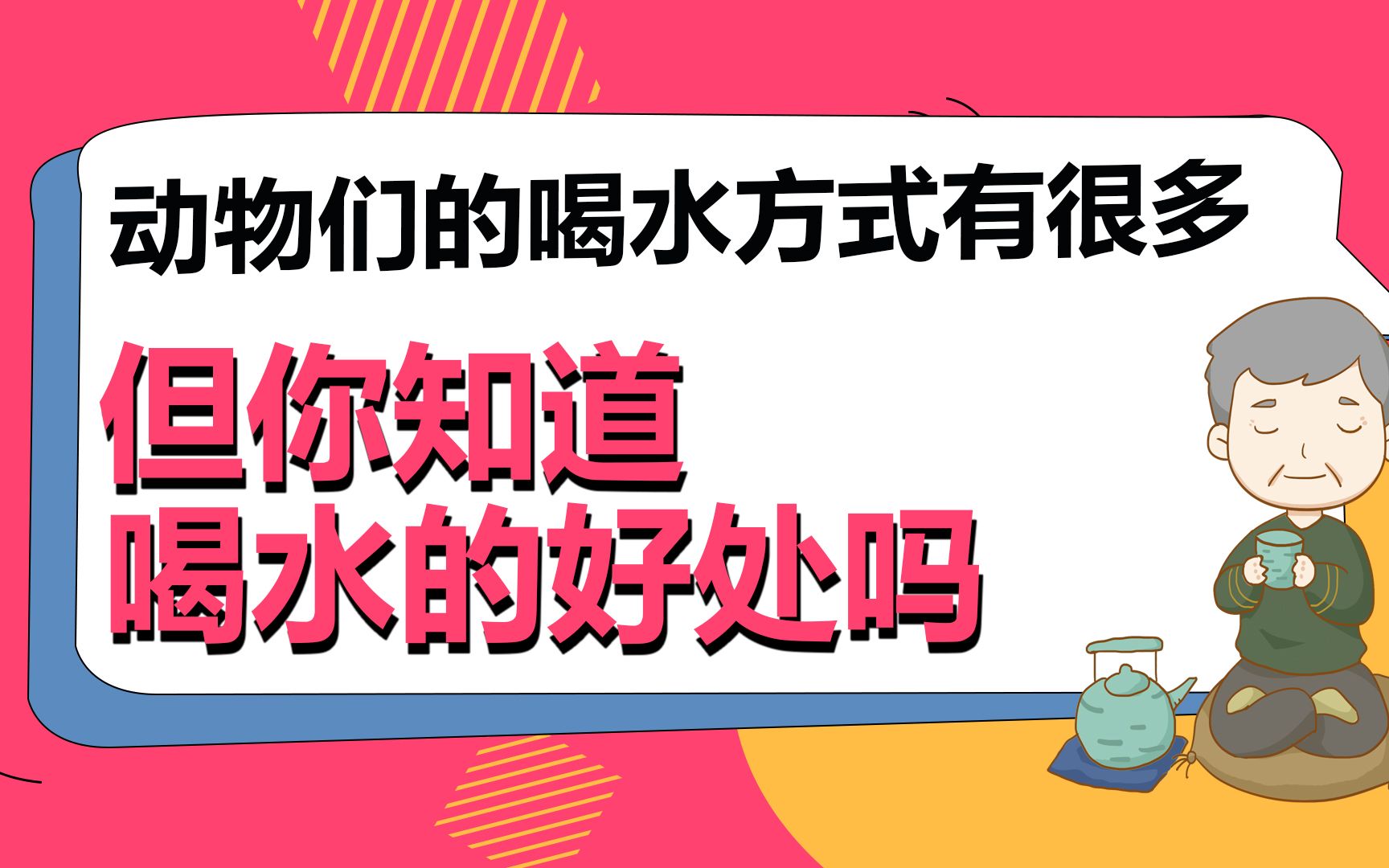 【养生动画】动物们的喝水方式有很多,但你知道喝水的好处吗哔哩哔哩bilibili