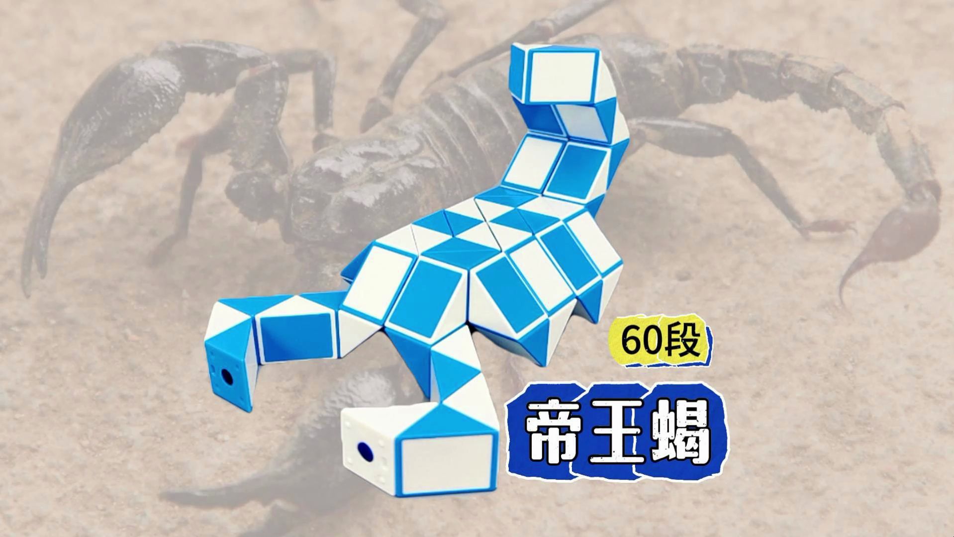60段魔尺教程变帝王蝎,蝎子折法简单易学