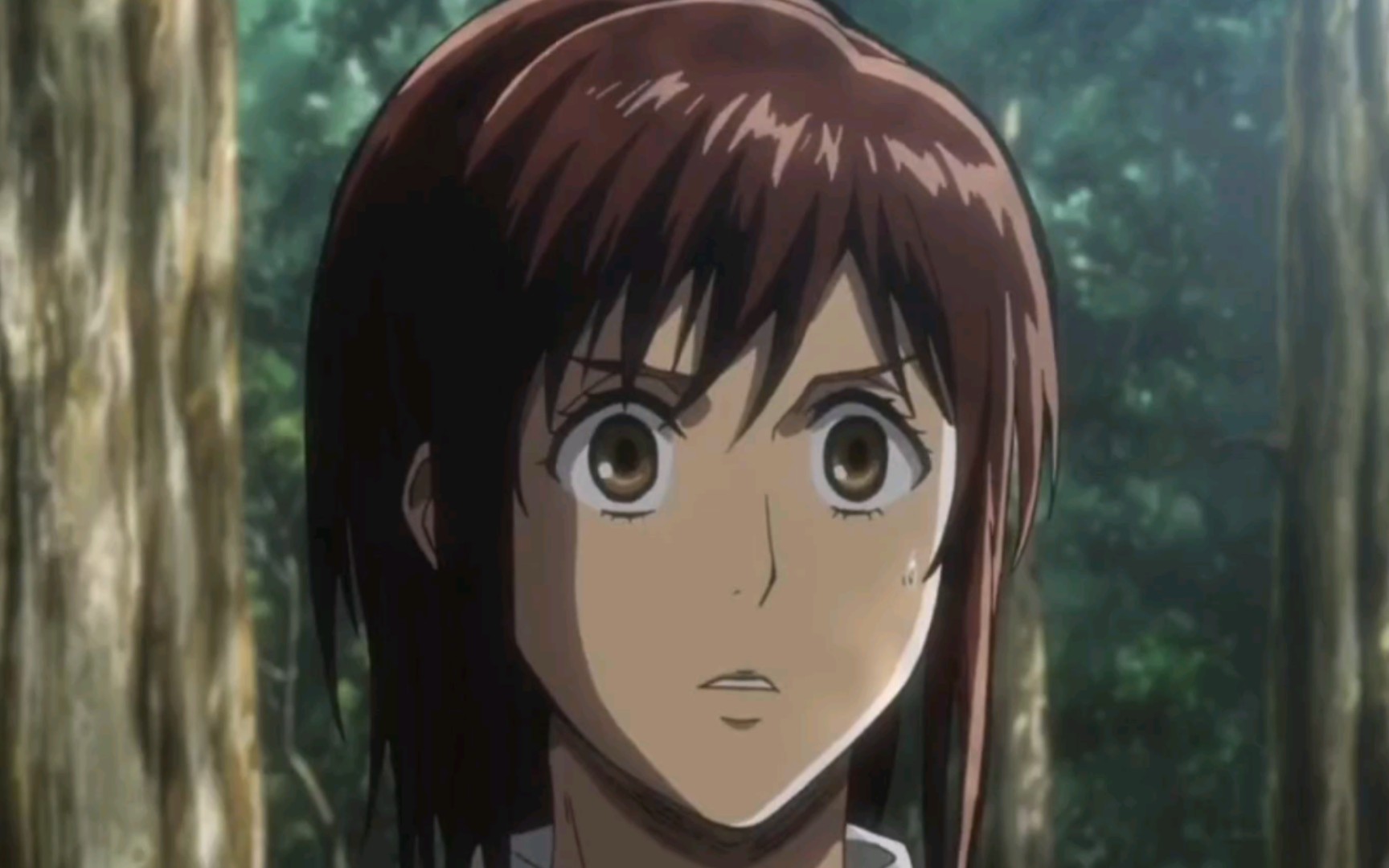 【进击的巨人】"莎夏,我们总要走出自己的森林"._哔哩哔哩_bilibili