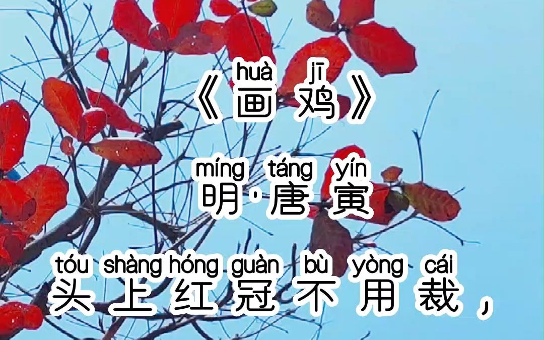 《画鸡》明·唐寅,拼音版,小学生必背古诗词