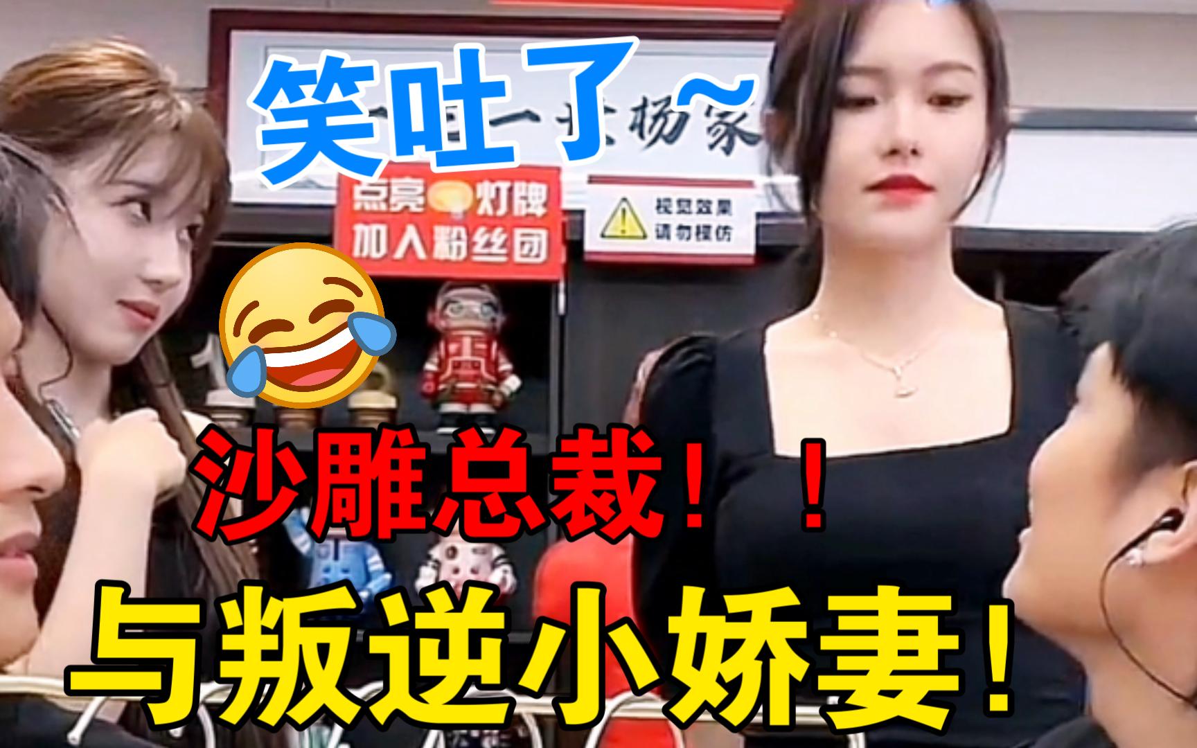 沙雕总裁与叛逆小娇妻!哔哩哔哩bilibili