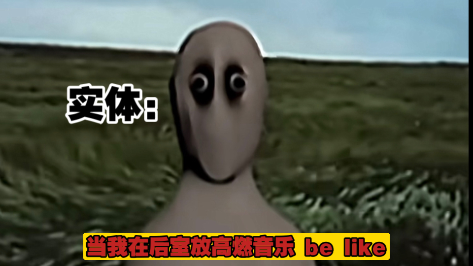 当我在后世放高燃音乐 be like