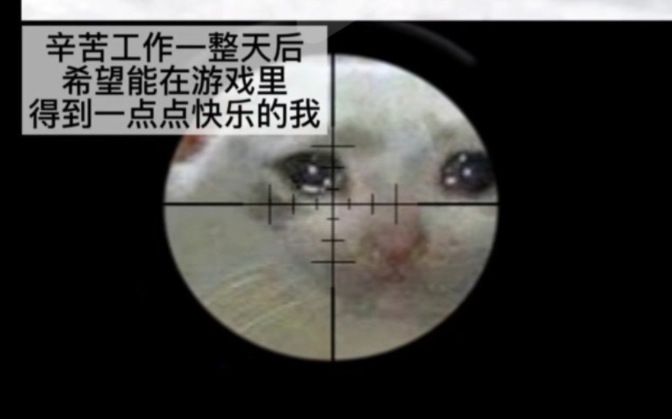 【枪神纪】上辈子犯了错这辈子在游戏里赎罪做辅助网络游戏热门视频