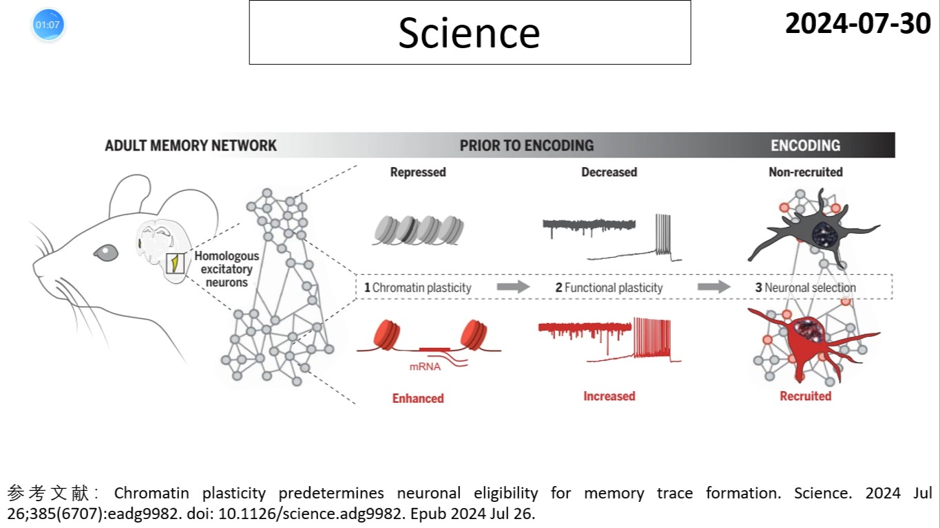 Science—表观遗传学研究重磅:染色质可塑性决定神经可塑性和记忆的形成哔哩哔哩bilibili