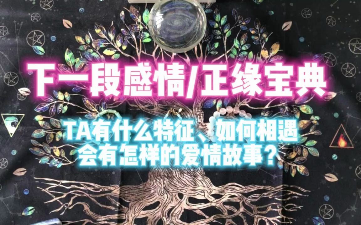 [图]【树下塔罗】你的下一段恋情/正缘宝典，TA有什么特征，你们如何相遇，会有怎样的爱情故事？