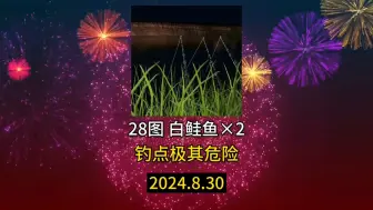 Download Video: 【俄钓4】直接就拿下两星白鲑鱼！