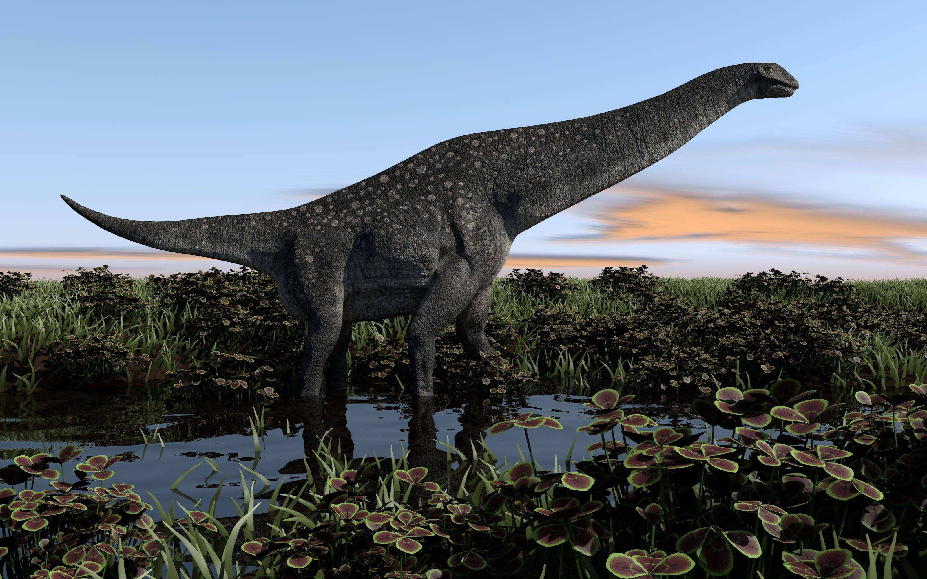 阿根廷龙:最大的陆地恐龙(生活在白垩纪中期)