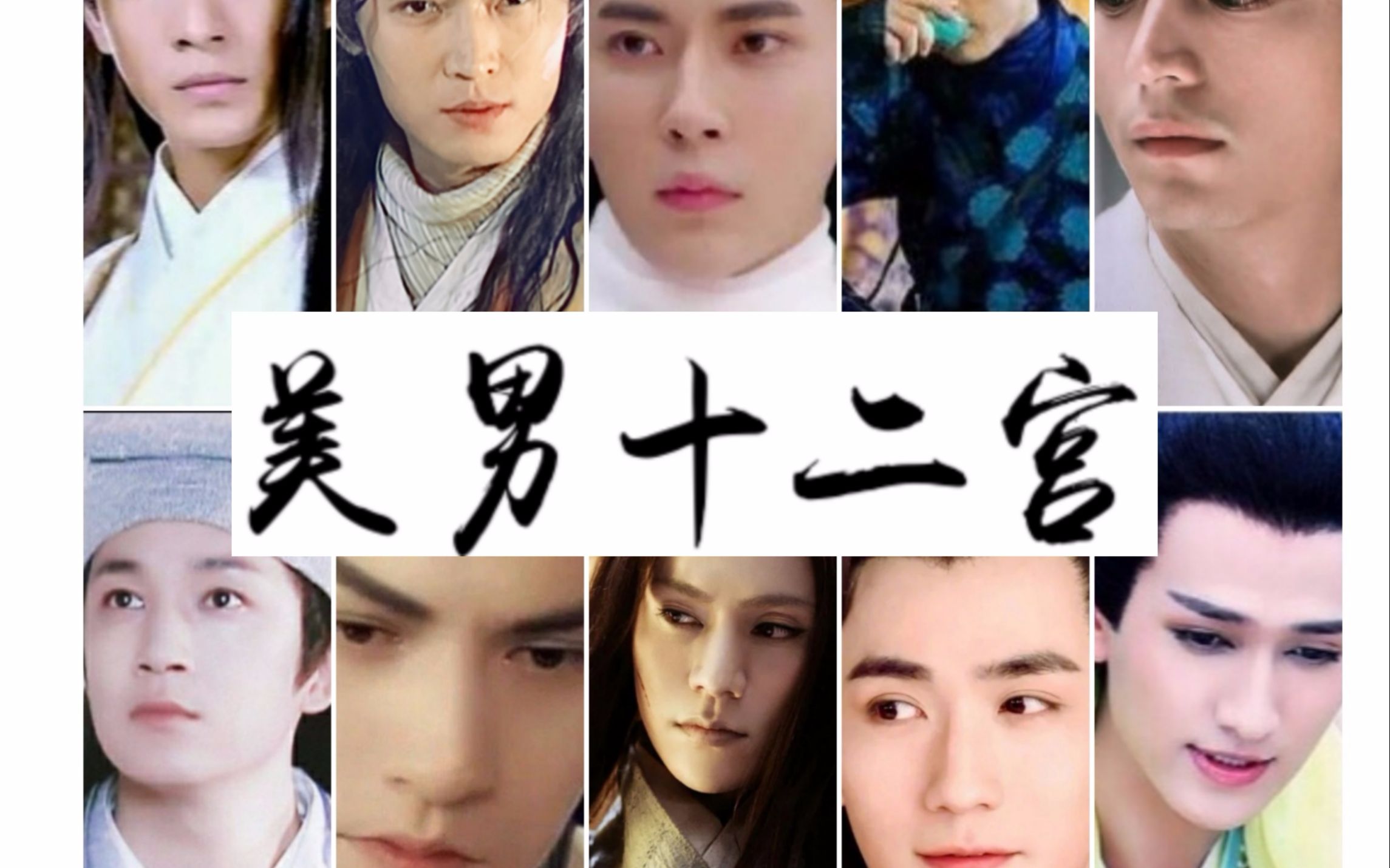 女尊小说《美男十二宫》真人群像(个人向)美男子华鉴(BGM画皮)哔哩哔哩bilibili