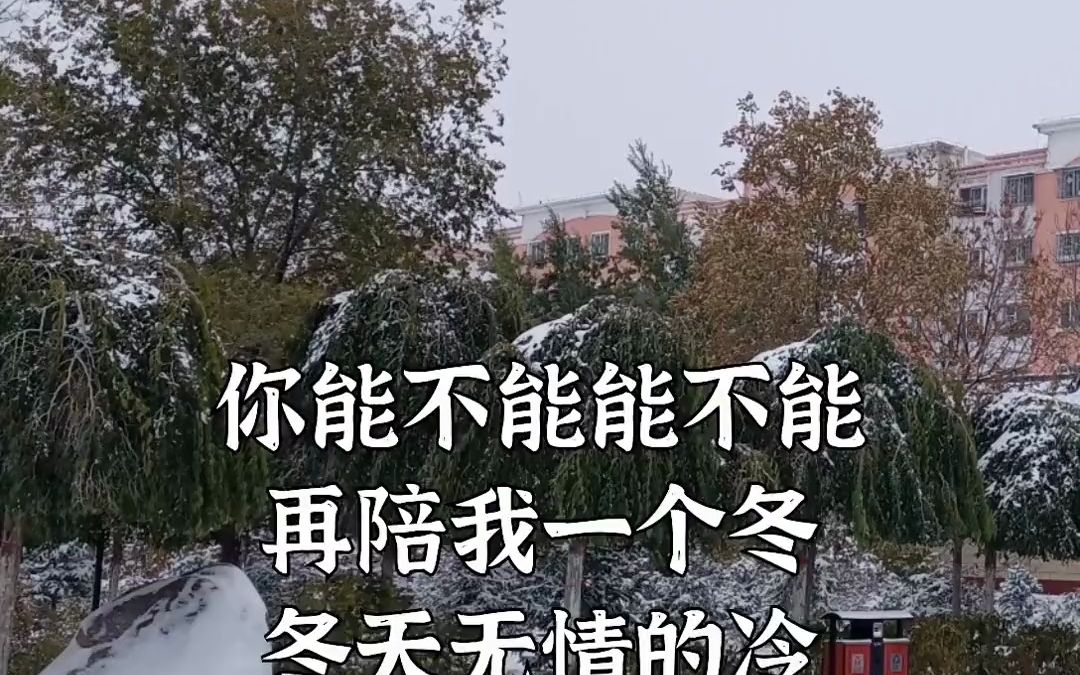 [图]陪我一个冬