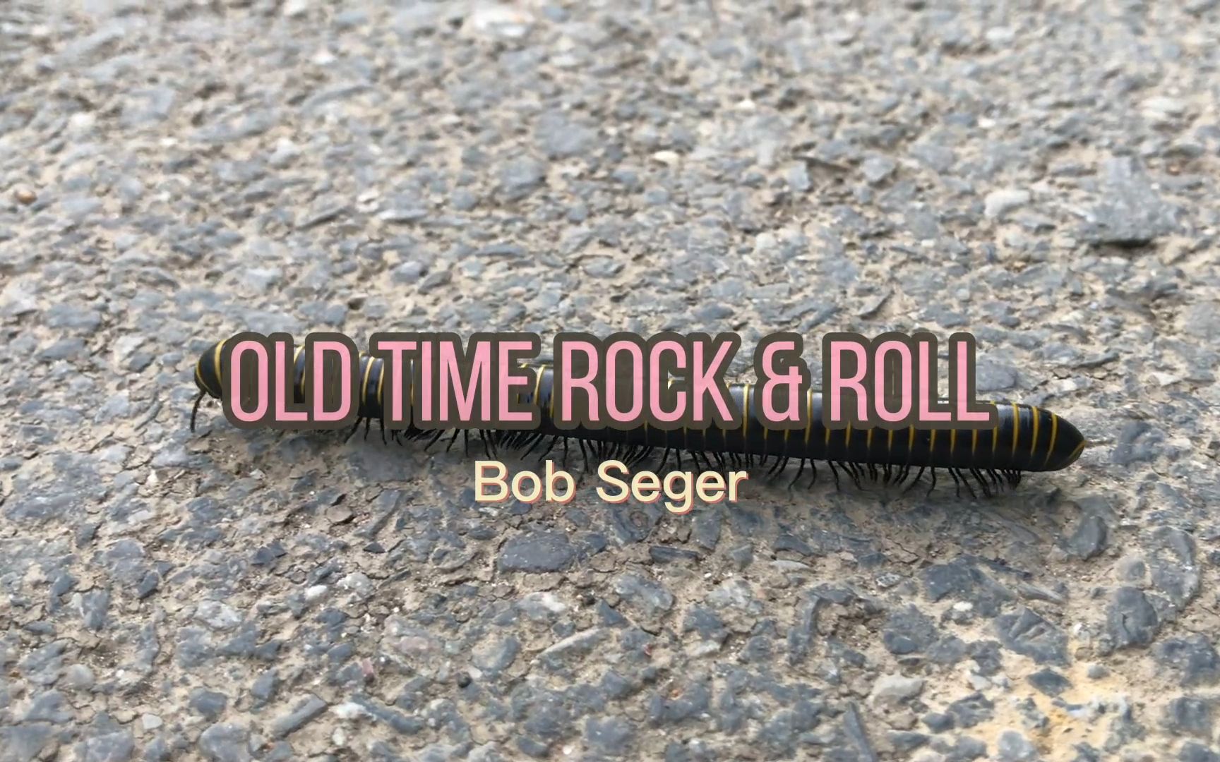 [图]往昔的摇滚 Bob Seger - Old time rock&roll