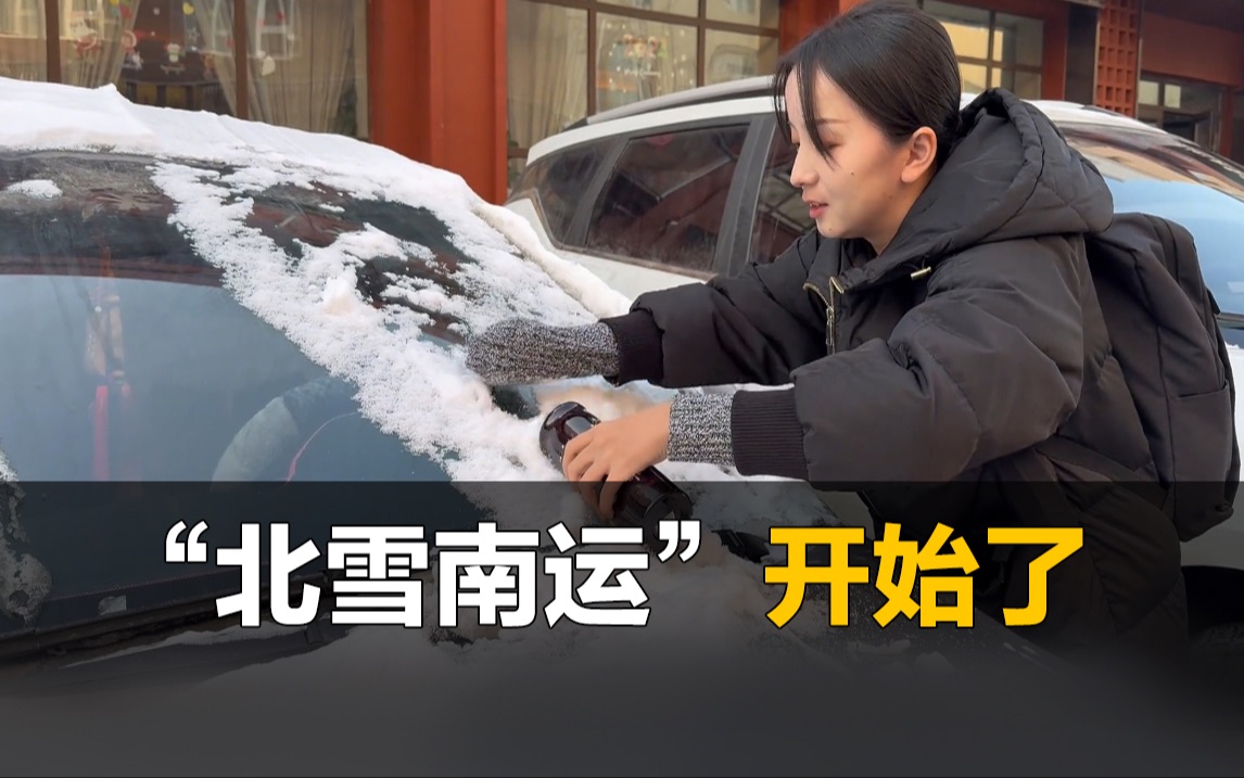 “南泥北运”还没完,“北雪南调”开始了哔哩哔哩bilibili