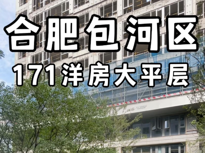 合肥包河区171平洋房大平层社区带下沉式庭院450万#合肥大平层#合肥大平层设计#合肥新房#合肥新房推荐哔哩哔哩bilibili