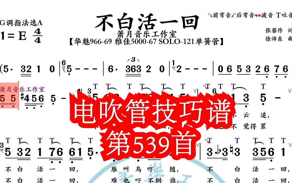 《不白活一回》第539首电吹管技巧动态简谱演奏示范哔哩哔哩bilibili