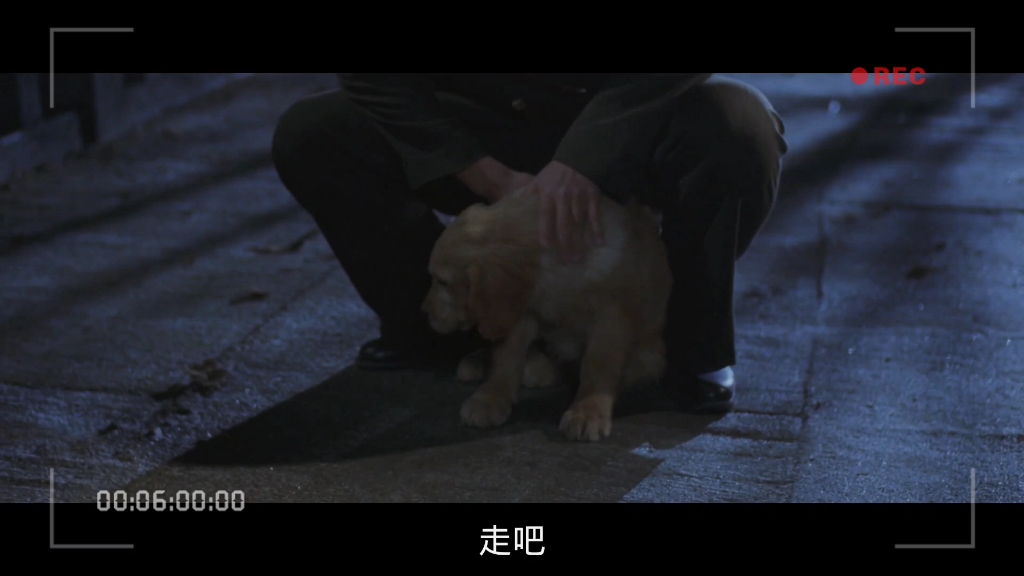 ④CUT【共同警备区】李英爱/宋康昊/李秉宪 高分经典 韩语中字 1080P哔哩哔哩bilibili