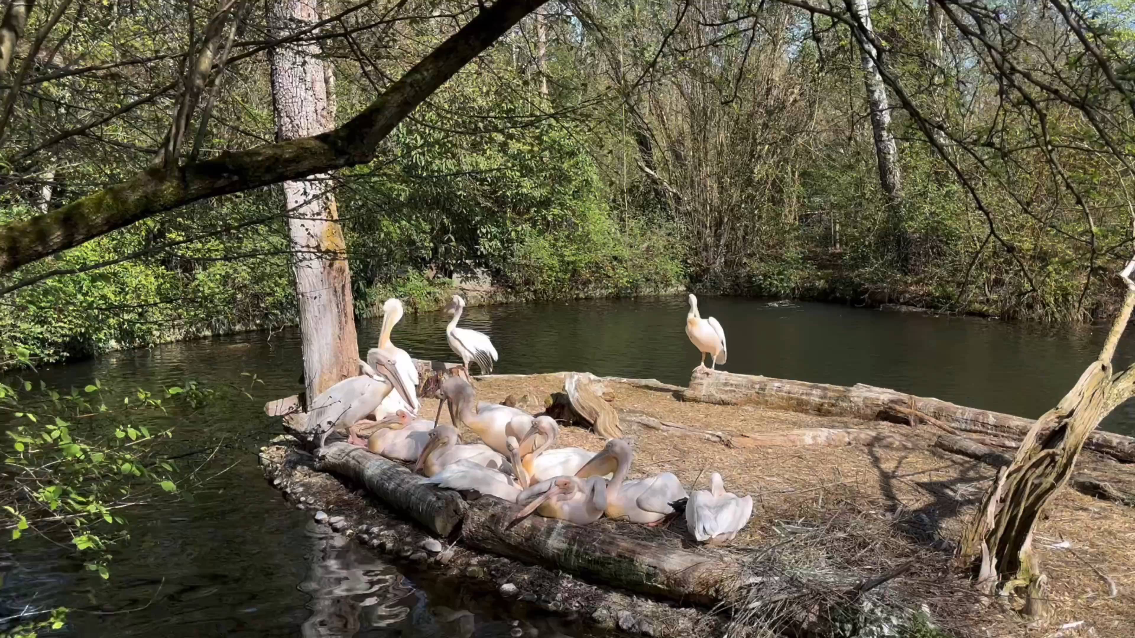 慕尼黑海拉布伦动物园