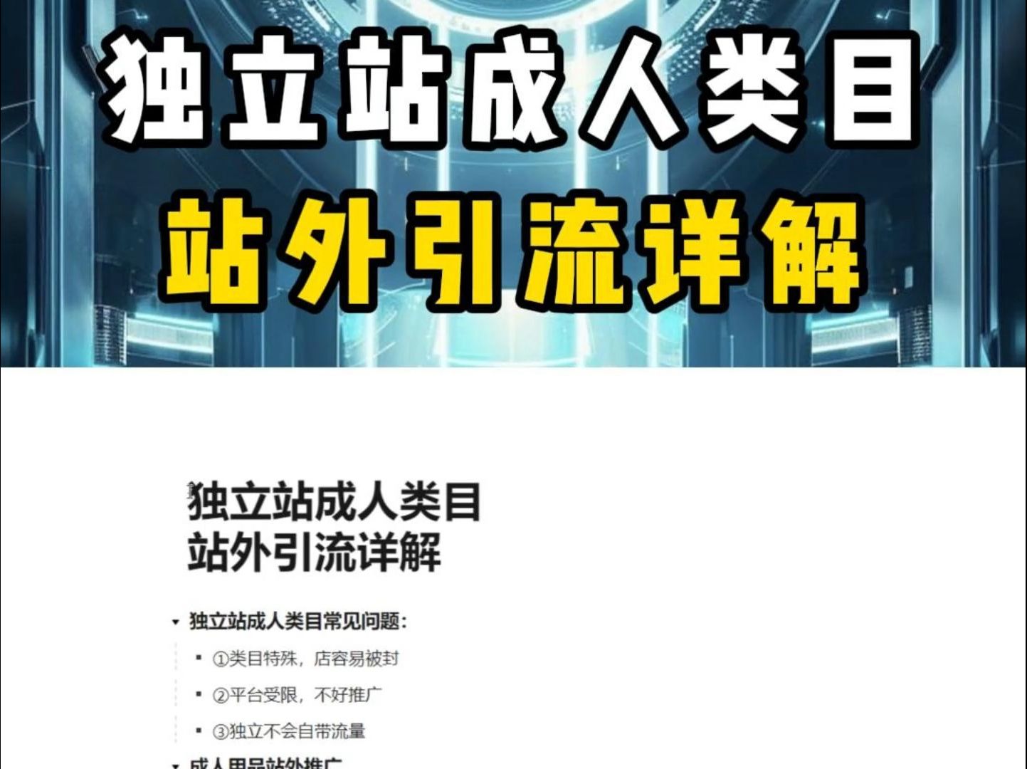 独立站成人类目站外各平台推广引流合集!哔哩哔哩bilibili