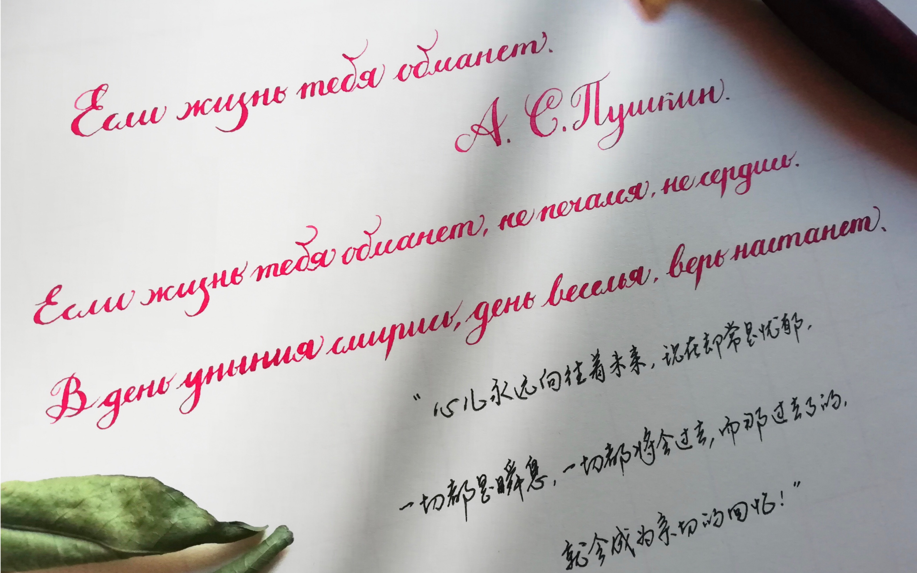 俄语究竟有多好听|普希金《假如生活欺骗了你》