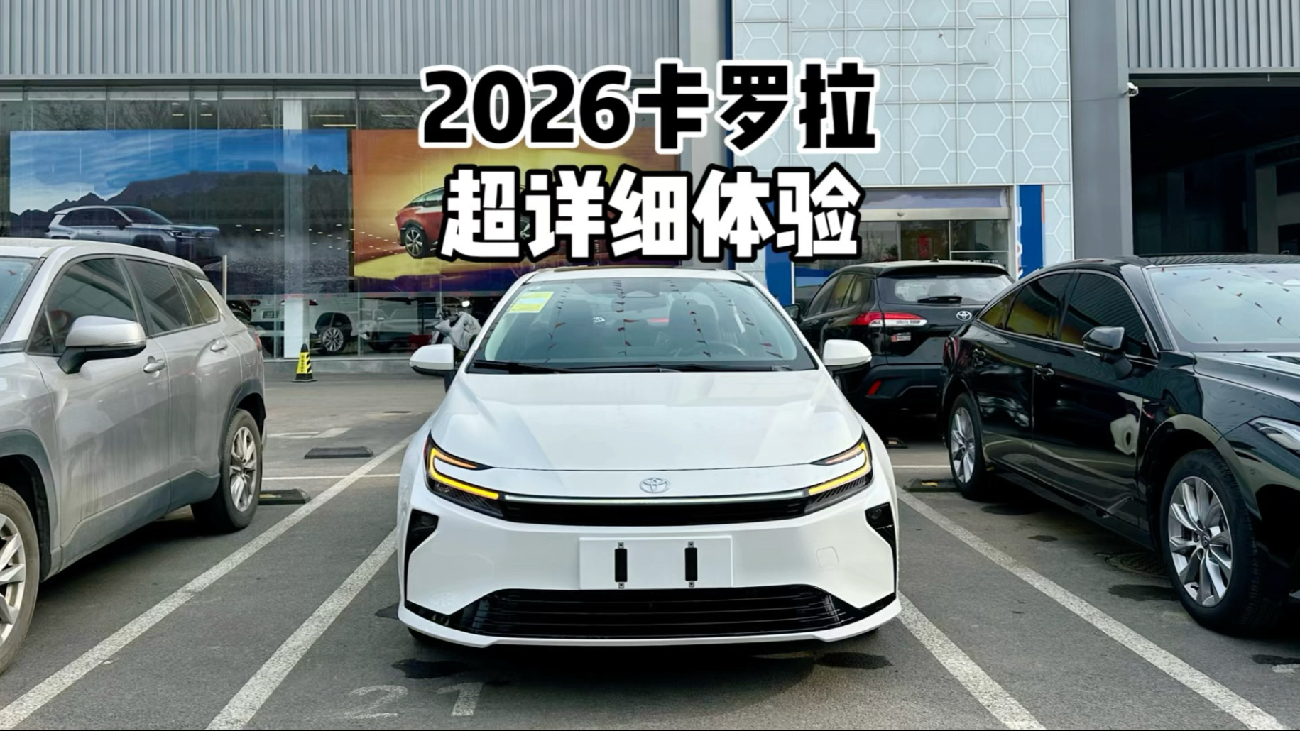 9.9万起！2026全新卡罗拉 7分钟到店体验！朗逸与轩逸慌了吗？