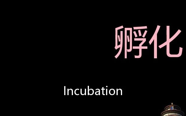 孵化 Chinese Pronunciation incubation哔哩哔哩bilibili