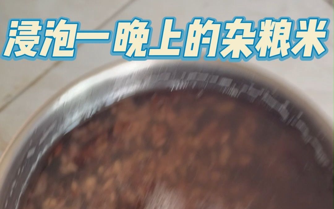 杂粮米饭的制作哔哩哔哩bilibili