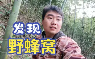 下载视频: 上山挖笋发现一窝野蜜蜂，这下真的是赚大发了！