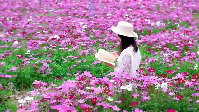 陌上花开等你来 罗兰ae10巴乌 欢迎聆听